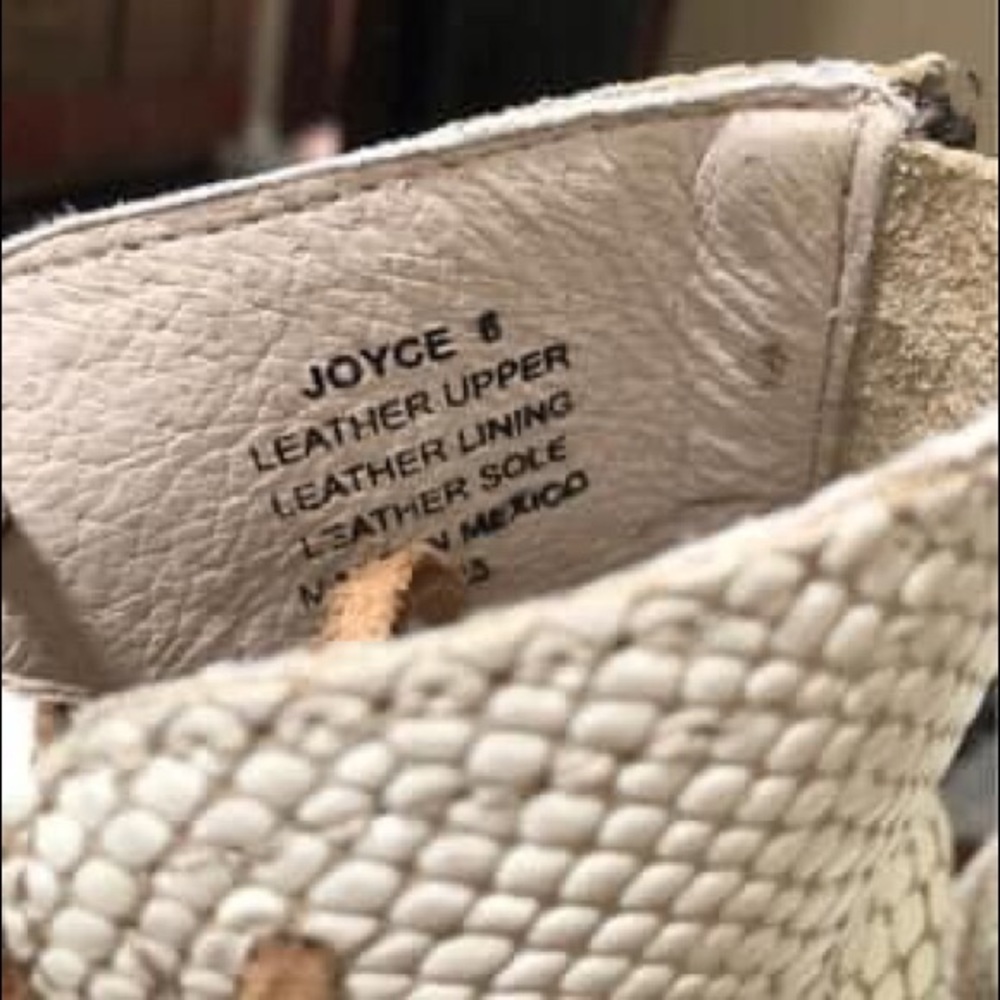 COPY - Freebird by Steven